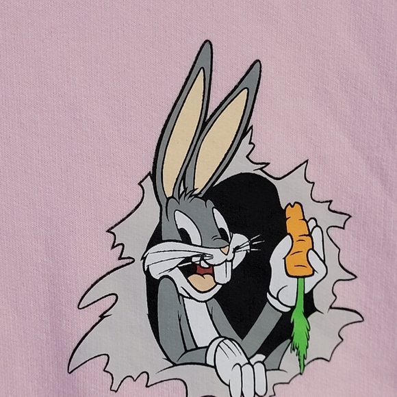 Looney Tunes Hoodie - Picture 4 of 6